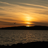 Buy canvas prints of Portencross Sunset in May by Trevor Lloyd