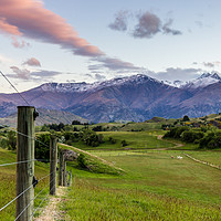 Buy canvas prints of New Zealand Sunset by David Cook