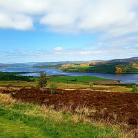 Buy canvas prints of Late Spring at Dornoch Firth Scotland  by Cecilia Zheng