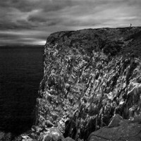 Buy canvas prints of Isle of May Sea Cliffs 2 by Malcolm Smith