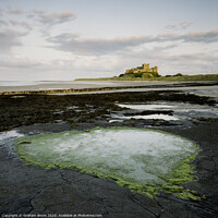 Buy canvas prints of Bamburgh Castle Heart Rock Pool At Sunset by Graham Binns