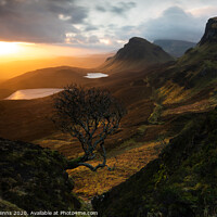 Buy canvas prints of Forced Aura – Quiraing lone tree, Isle of Skye Sun by Graham Binns