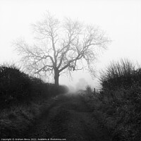 Buy canvas prints of Wellands Lane Foggy Morning by Graham Binns