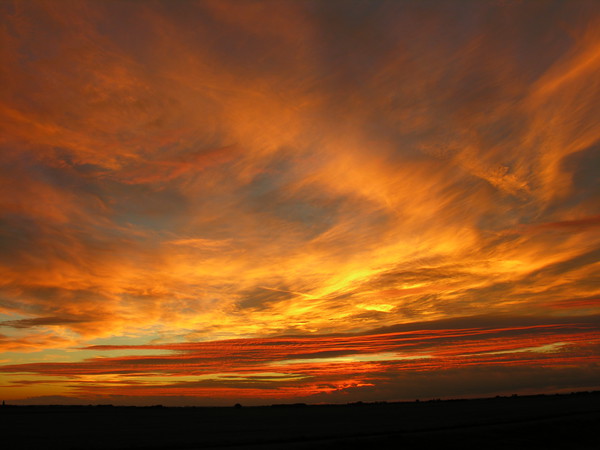 When September Ends on the Lincolnshire Fens Picture Board by Mel Coward