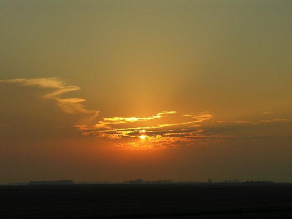 Sundown over the Lincolnshire Fens Picture Board by Mel Coward
