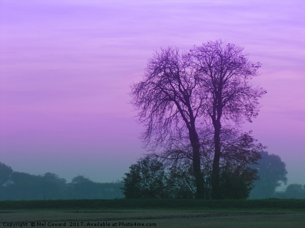 Lilac Sky as the Crows Fly Picture Board by Mel Coward