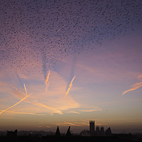 Buy canvas prints of Canterbury Cathedral Dawn and a Flock of Starlings by Kentish Dweller