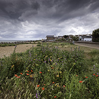 Buy canvas prints of Wild Flowers on West Beach, Whitstable by Kentish Dweller