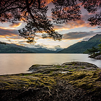 Buy canvas prints of Where the ents lie.. by Paul Grant Simpson