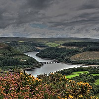 Buy canvas prints of Garreg Ddu, Elan Valle from the Gorse covered hill by Sorcha Lewis