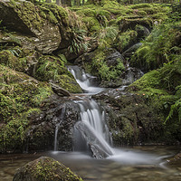 Buy canvas prints of Upland Woodland Stream and waterfall, Elan Valley by Sorcha Lewis