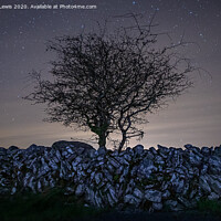 Buy canvas prints of Burren tree on drystone wall by Sorcha Lewis