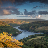 Buy canvas prints of Welsh Gold in the Elan Valley by Sorcha Lewis