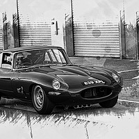 Buy canvas prints of Jaguar E-Type Racer by Martin Dunning