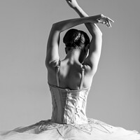 Buy canvas prints of Prima Ballerina  by Jon Raffoul