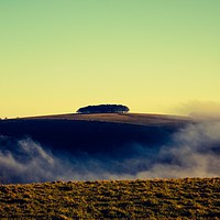 Buy canvas prints of Rolling fog, windgreen near Shaftsbury Dorset/Wilt by Lisa Strange