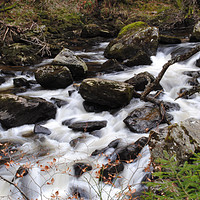 Buy canvas prints of Babbling Brook by Allan Smillie