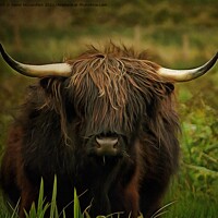 Buy canvas prints of Highland Cattle by David Mccandlish