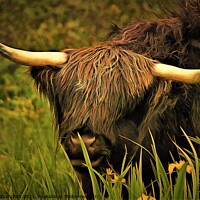 Buy canvas prints of Highland Cattle by David Mccandlish
