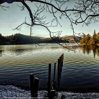 Buy canvas prints of Loch Ard by David Mccandlish