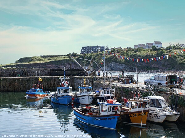 Crail Harbour Picture Board by David Mccandlish