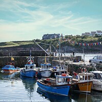 Buy canvas prints of Crail Harbour by David Mccandlish