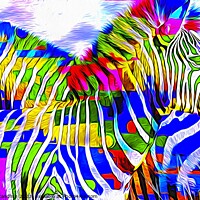 Buy canvas prints of Resting Zebras A Contemporary Art Piece by David Mccandlish