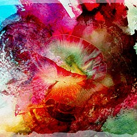 Buy canvas prints of Vibrant Red Poppy Burst by David Mccandlish