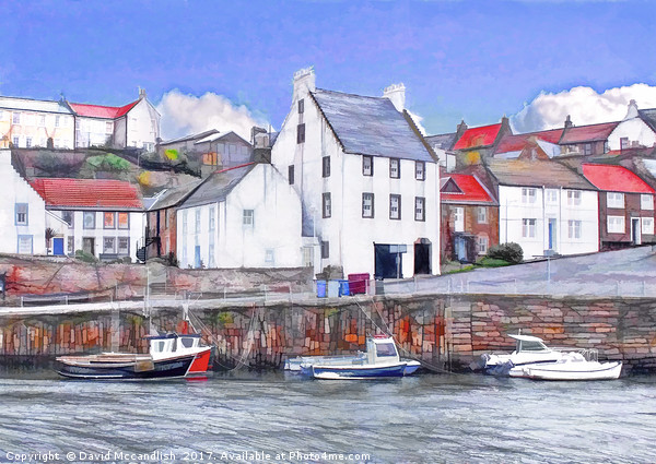 Crail Harbour					 Picture Board by David Mccandlish