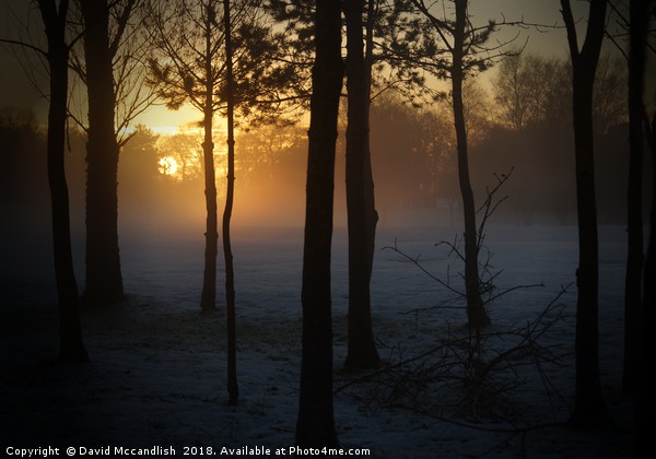 Sun Snow and Fog                                Picture Board by David Mccandlish