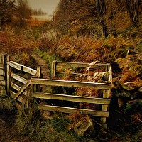 Buy canvas prints of Ardinning Loch Path by David Mccandlish