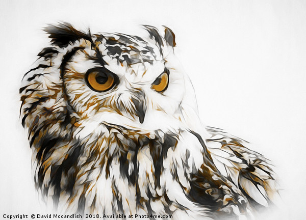 Eagle Owl Picture Board by David Mccandlish