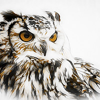 Buy canvas prints of Eagle Owl by David Mccandlish