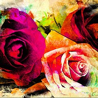 Buy canvas prints of   Three Roses                              by David Mccandlish