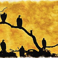 Buy canvas prints of Vulture Restaurant  by David Mccandlish