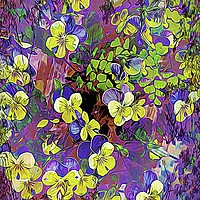 Buy canvas prints of Violas by David Mccandlish