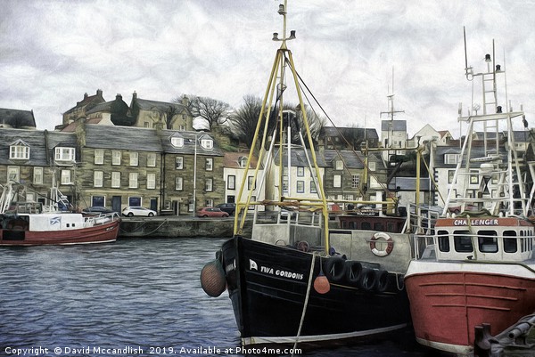 Harbour at Pittenweem Picture Board by David Mccandlish