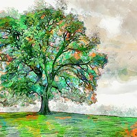 Buy canvas prints of The Mighty Oak by David Mccandlish