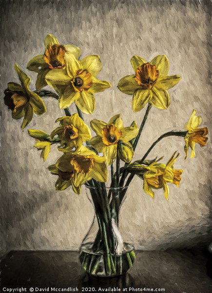 Daffodils in Glass Vase Picture Board by David Mccandlish