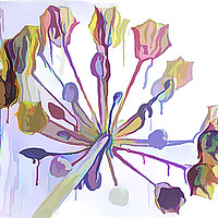 Buy canvas prints of Allium Carousel by David Mccandlish