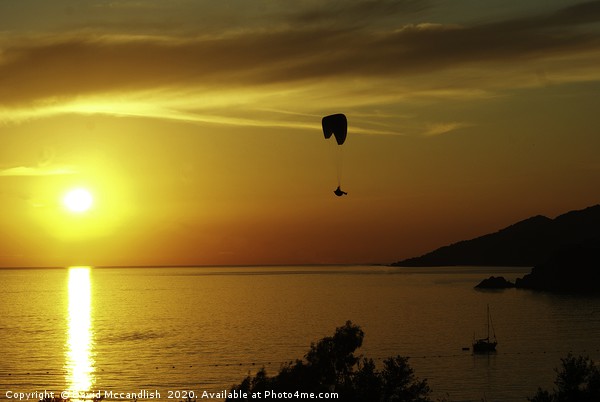 Gliding Towards Sunset Picture Board by David Mccandlish