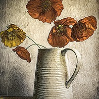 Buy canvas prints of       Poppies in a Jug                          by David Mccandlish
