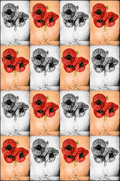 Poppies in a Vase                                Picture Board by David Mccandlish