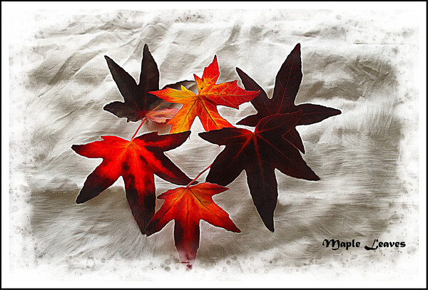 Maple leaves Picture Board by David Mccandlish