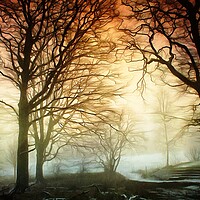 Buy canvas prints of Woods in Winter Fog by David Mccandlish