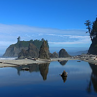Buy canvas prints of May Your Love Grow - Ruby Beach View  by Christiane Schulze
