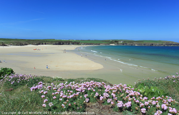 Harlyn Bay in Cornwall, England. Picture Board by Carl Whitfield