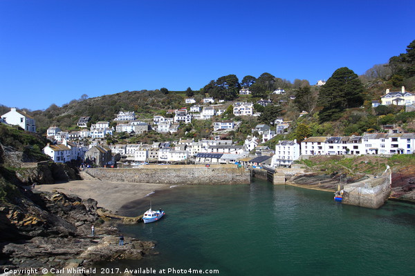 Polperro in Cornwall, England. Picture Board by Carl Whitfield