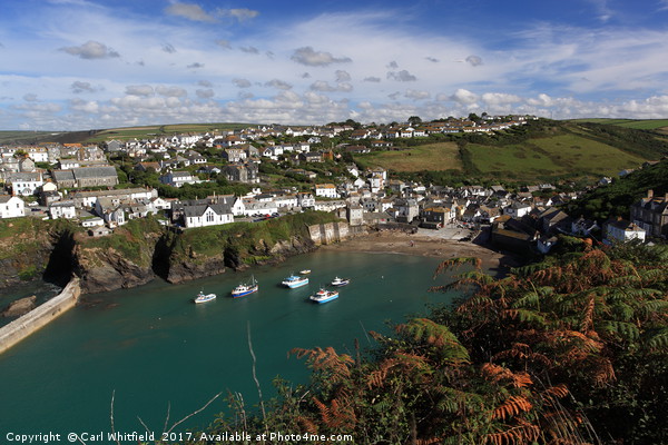 Port Isaac in Cornwall, England. Picture Board by Carl Whitfield