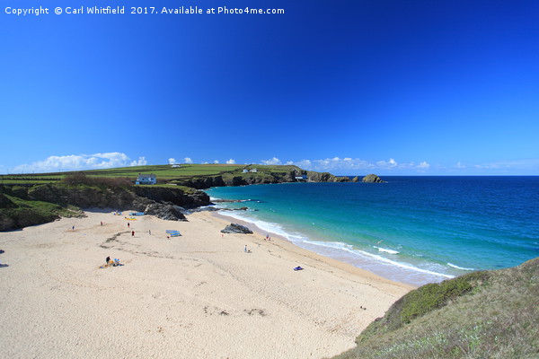 Mother Iveys Bay in Cornwall, England. Picture Board by Carl Whitfield